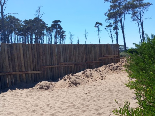 ocean park, Alexandre Grendene, denuncias, arroyo el potrero