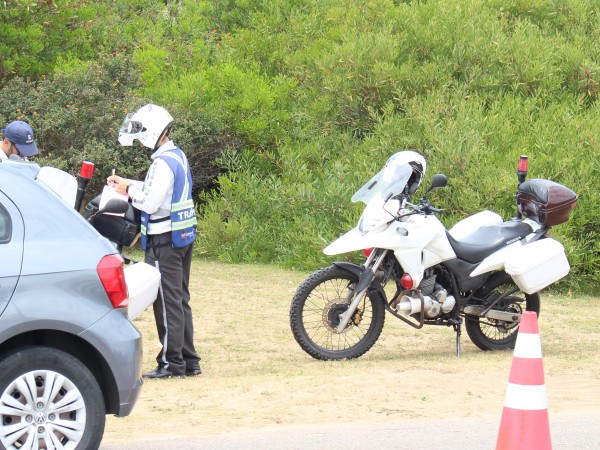 Trece conductores co...