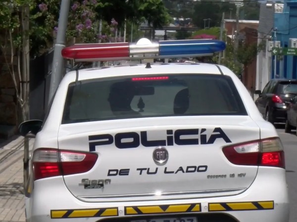 Violación de domicilio, perra, ladrón