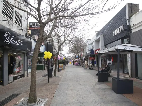 Edil del FA solicitó...