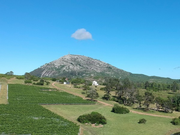 Bomberos rescató a una mujer que se lesionó en el Cerro Pan de Azúcar