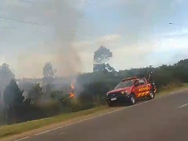 Bomberos combatió un principio de incendio en un terreno baldío