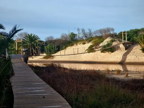 Edil colorado pidió...