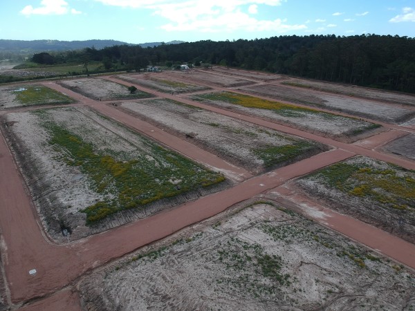 Vecina denuncia demo...