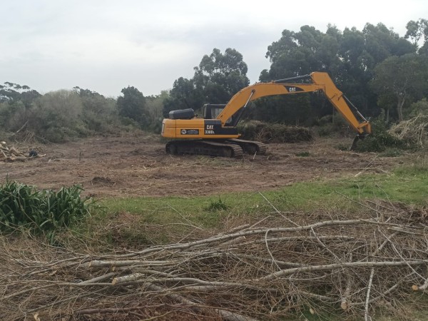 denuncias, fraccionamiento ilicito, solis grande, protocolo de denuncia ambiental,