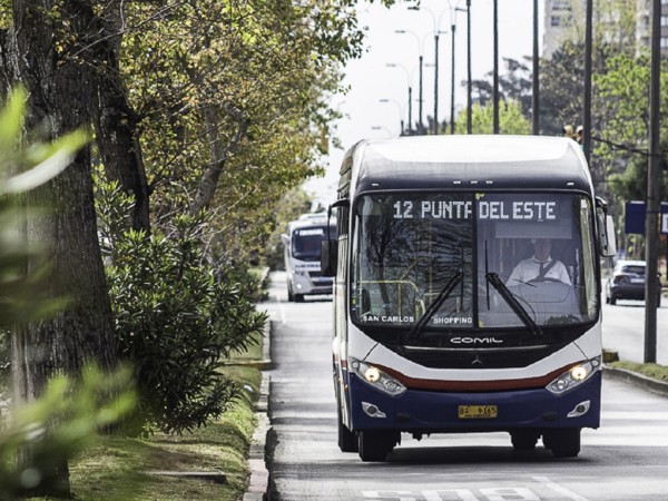 Desvíos de tránsito, transporte colectivo, por la Maratón Internacional de Punta del Este,