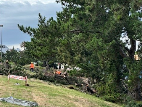 Vecinos reclaman pod...