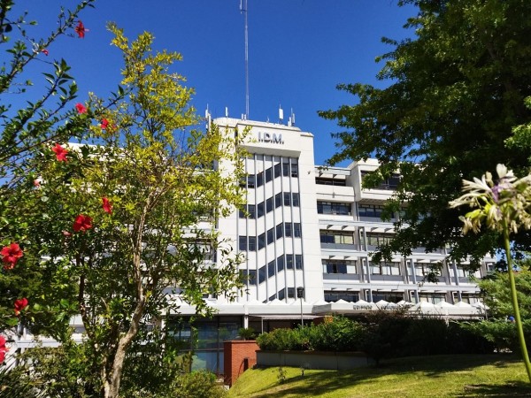 Artola aseguró que l...