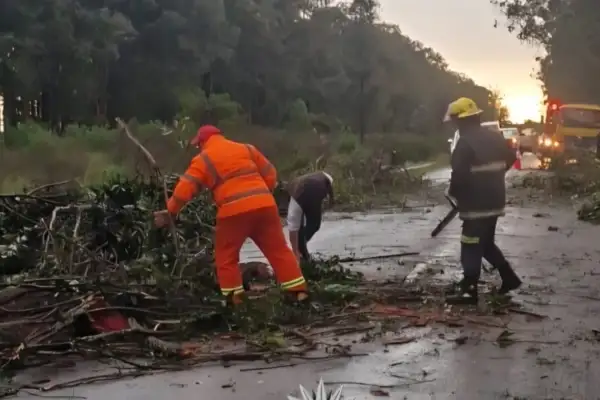 Un peón rural murió...