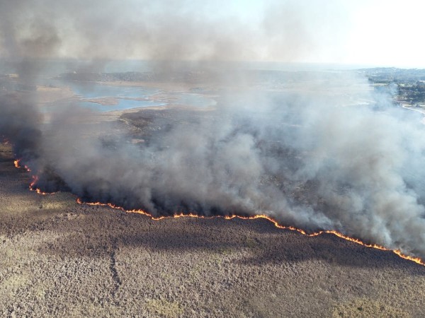 Bomberos trabajará toda la noche en el incendio de Laguna del Diario; vecinos reclaman por demora en la gestión