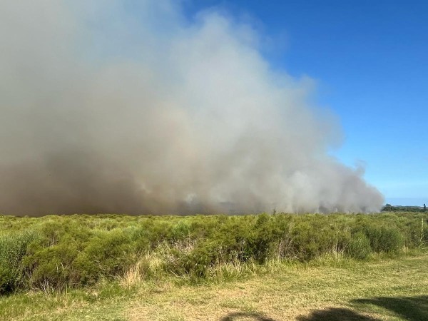 Fue circunscripto el fuego en incendio de campo en camino Los Ceibos
