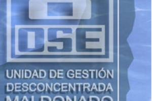 Hourcade asume este viernes en la UGD
