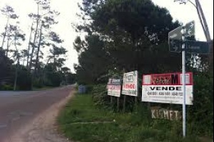 Se abre licitación para remodelación de avenida Córdoba en Maldonado