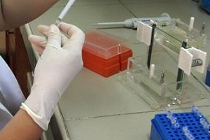 ADN a beba de José Ignacio tardará otra semana