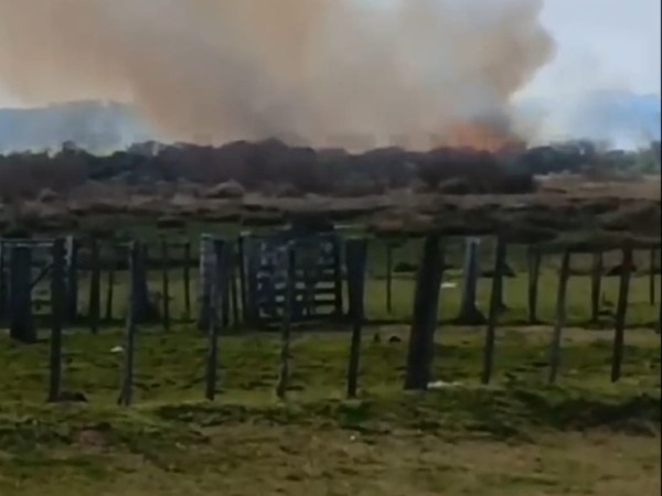 Camino de Los Ceibos: incendio originado por una quema se encuentra bajo control