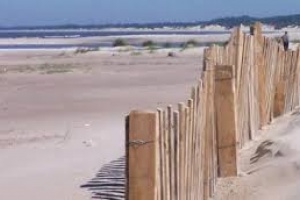 Disminuyó 14 veces vandalismo sobre cercas para crear dunas en las playas
