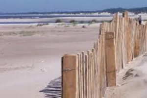 Disminuyó 14 veces vandalismo sobre cercas para crear dunas en las playas