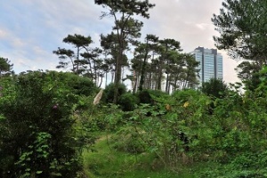 Dos terrenos de Punta del Este bajo la lupa por presunto lavado vinculado los Kirchner