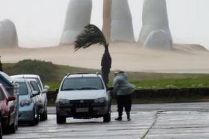Árboles caídos y calles cortadas es el saldo primario del temporal 