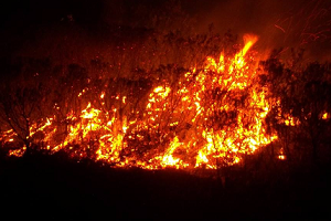 Investigan incendios en zona de El Cortijo
