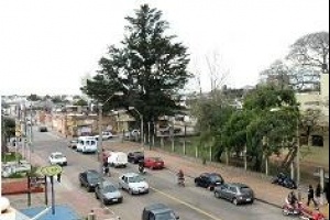 Intendencia no cobrará chapas matrículas ni libretas de propiedad a los reempadronamientos