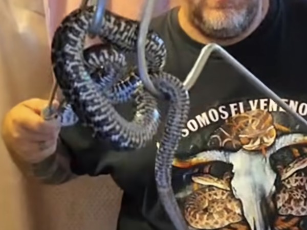 Encontraron una yara...