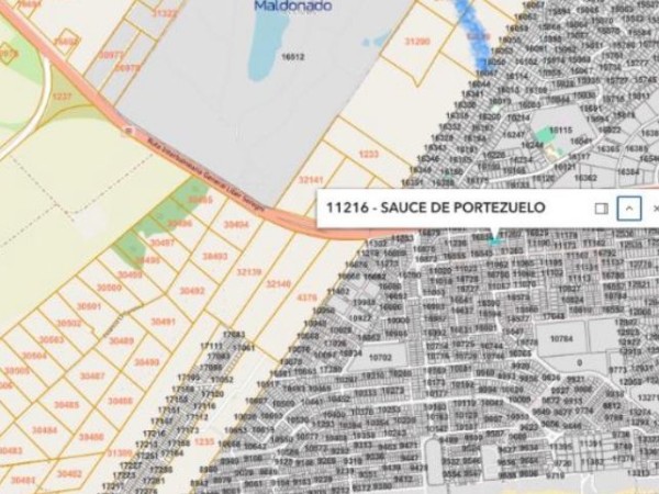 Remataron en más de...