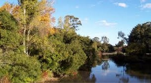 Está pronto un proyecto de decreto para el Ecoparque en arroyos Maldonado y San Carlos