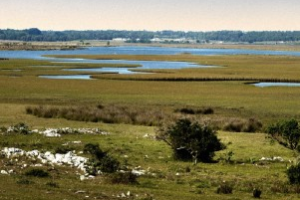 Alta participación en audiencias por nuevos fraccionamientos
