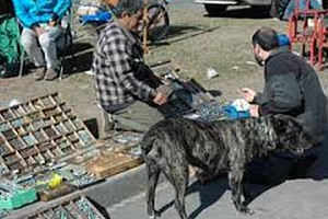 Periferiantes tienen orden de desalojo