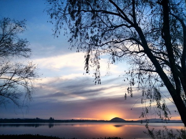 Intendencia de Maldo...