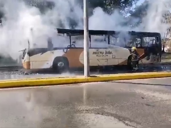 Ómnibus de Micro Limitada se incendió pero no hubo heridos