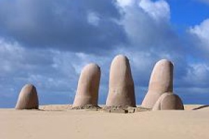 Concejal reveló que en Punta del Este son procesadas dos personas por día