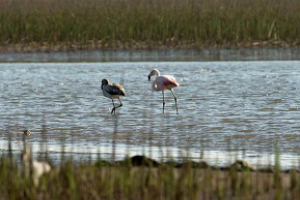 Inscriben para curso de Guía de Turismo de Naturaleza