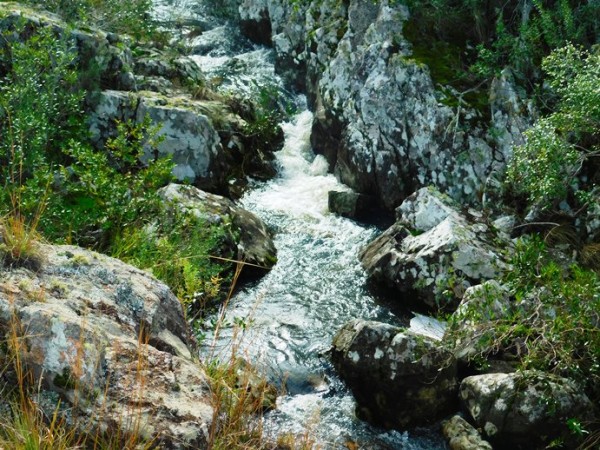 Adquirieron un territorio en Sierra de las Cañas para conservar su biodiversidad mediante la venta online de parcelas