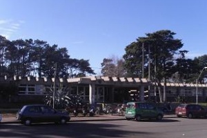 Suspenden clases en el Liceo de Punta del Este