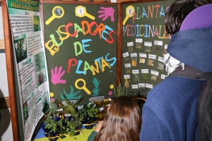 Decenas de niños participaron en Feria Departamental de Clubes de Ciencias