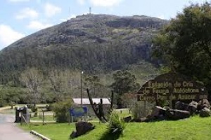 Pan de Azúcar sigue con festejos de los 140 años de su fundación