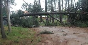 Fuertes vientos han azotado el departamento causando algunos daños