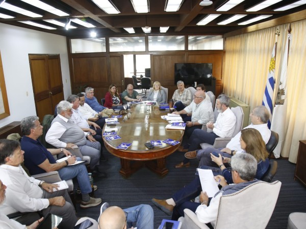 Intendente Abella in...