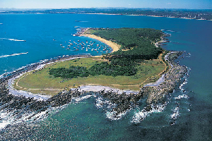 Quema controlada en Gorriti