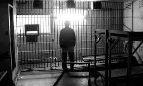 Dos hombres a prisión por robar rolos y astillas de leña