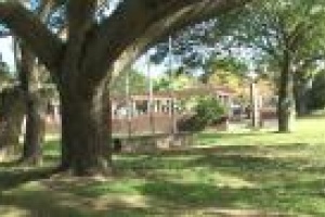 Plaza de Maldonado Park contará con servicio de seguridad y vigilancia