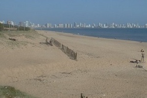 Comenzó el mantenimiento de playas de Maldonado