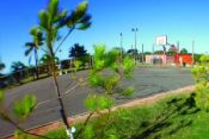 Varias actividades en el Día Internacional de los Derechos de las Personas con Discapacidad