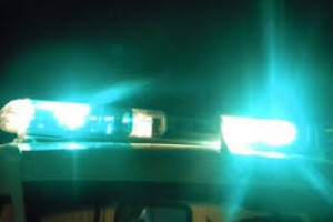 Una mujer se debate entre la vida y la muerte tras embestir a un perro