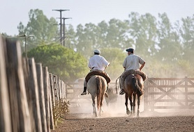 Llevaban la última tecnología, a caballo; procesados ambos