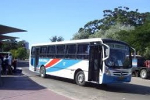 Consultora entregó auditoría sobre el transporte público de Maldonado