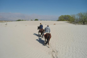 Prefectura justificó detención de empresario francés, además, se multó el todo terreno de Tinelli
