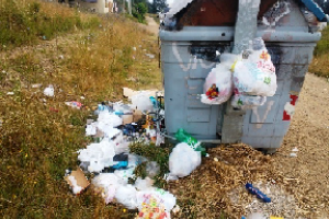 Faltaron camiones para recoger residuos en Zona Oeste